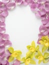 Rose petals and orchids frame