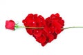 Rose petals red heart with rose as arrow Royalty Free Stock Photo