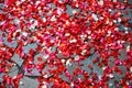 Rose petals scattered on the sidewalk Royalty Free Stock Photo