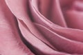 Rose petals seen up close