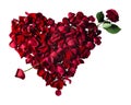 Rose petals in the shape of a heart pierced by an arrow. Royalty Free Stock Photo