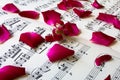 Rose petals on sheet music Royalty Free Stock Photo