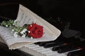 Rose on the piano Royalty Free Stock Photo