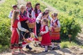 Rose picking festival