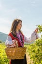 Rose picking ritual in Bulgarian village