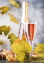 Rose pink champagne glasses and bottle, gray background, wine tasting concept, copy space Royalty Free Stock Photo