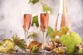 Rose pink champagne glasses and bottle, gray background, wine tasting concept, copy space Royalty Free Stock Photo