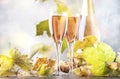 Rose pink champagne or sparkling wine glasses and bottle, gray table, copy space Royalty Free Stock Photo