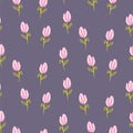 Rose pink tulips pattern background. Cartoon style spring flowers seamless floral purple backdrop.