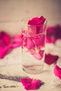 Rose petals in a bowl of water Royalty Free Stock Photo