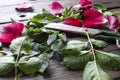 Rose pruning is carried out on the table. Pruning the rose with homemade scissors. Rose petals, scissors and leaves.