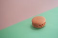 Single macaroon on colorful background. Royalty Free Stock Photo