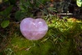 Rose Quartz Crystal Heart and Thick Green Moss Royalty Free Stock Photo