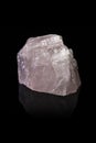 Rose Quartz Crystal on a Reflective Black Background Royalty Free Stock Photo