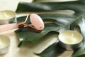 Rose quartz facial massage roller close-up Royalty Free Stock Photo