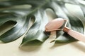 Rose quartz facial massage roller close-up Royalty Free Stock Photo