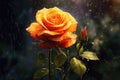 A rose in the rain, a rose bud in drops in nature. generative ai Royalty Free Stock Photo