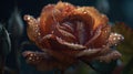 Rose in the rain created with generative AI technology Royalty Free Stock Photo