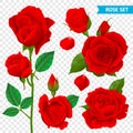 Rose Realistic Transparent Set