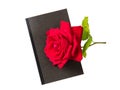 Rose red flower with green leaves stem and black diary on white background top view Royalty Free Stock Photo