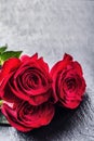 Rose. Red roses. Bouquet of red roses. Several roses on Granite background. Valentines Day, wedding day background. Royalty Free Stock Photo
