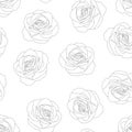 Rose - Rosa Outline Background. Valentine Day. Vector Illustration