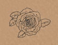 Rose. Rose flower with leaves. Graphic drawing .