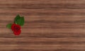 Rose Rustic Charm Wooden Wallpaper Texture