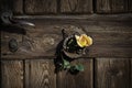 Rose on the rustic door Royalty Free Stock Photo