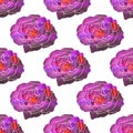 Rose. Seamless pattern with cosmic or galaxy Royalty Free Stock Photo