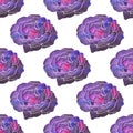 Rose. Seamless pattern with cosmic or galaxy Royalty Free Stock Photo