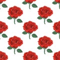 Seamless pattern of red roses with green leaves Royalty Free Stock Photo