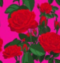 Rose seamless pattern