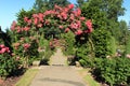 Rose Selections Test Garden Portland