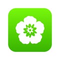 Rose of Sharon, korean flower icon digital green Royalty Free Stock Photo