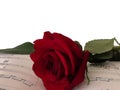 A rose on a sheet of music Royalty Free Stock Photo