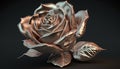 a rose is shown on a black background with a gold leaf