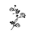 Rose silhouettes, spring buds vector characters. Black rose with leaf, nature flower roses illustration.