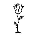 Rose sketch. Black outline on white background Royalty Free Stock Photo