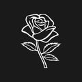Rose sketch. Rose motif. Flower design elements. Vector illustration. Elegant flower outline design. Gray symbol isolated on dark