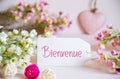 Rose Spring Flowers Decoration, Label, Heart, Bienvenue Means Welcome