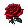 Single red rose illustration on white background Royalty Free Stock Photo