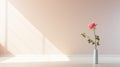 Abstract Minimalism: A Rose In An Empty Room