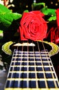 Rose on strings, symbols Royalty Free Stock Photo