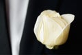 Rose on the suit of groom Royalty Free Stock Photo