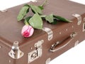 Rose on suitcase Royalty Free Stock Photo