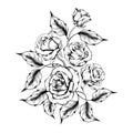 Rose tattoo. Silhouette of roses Royalty Free Stock Photo