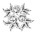 Rose tattoo. Silhouette of roses Royalty Free Stock Photo