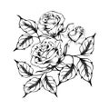 Rose tattoo. Silhouette of roses Royalty Free Stock Photo