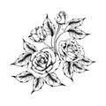 Rose tattoo. Silhouette of roses Royalty Free Stock Photo